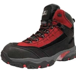 Botin Professional